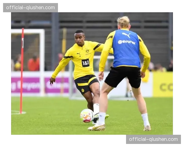 德甲俱乐部开放训练日,数千球迷现场观摩 德甲俱乐部开放训练日,数千球迷现场观摩